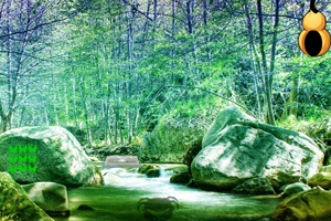 逃离河边山村