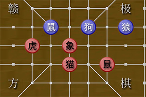 赣极方棋2